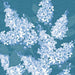Spring/Summer Cocktail Napkins - Homebody Denver