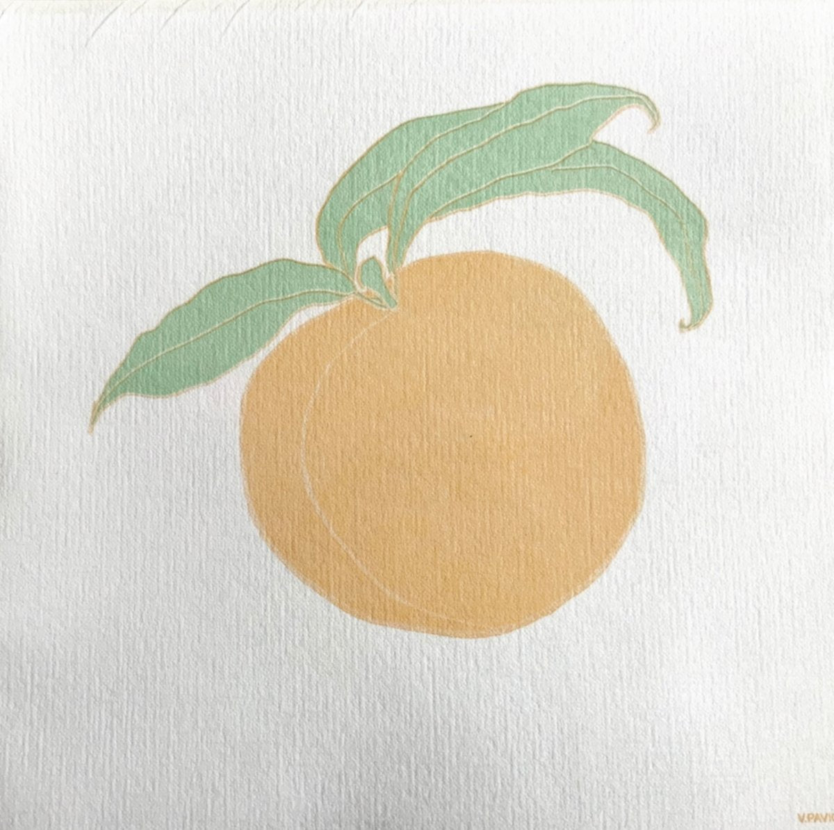 Spring/Summer Cocktail Napkins - Homebody Denver